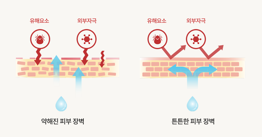 피부 장벽 이미지